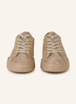 Hadley Sneaker Champagne Glossy Antic