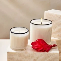 15.5oz Champagne Signature Candle