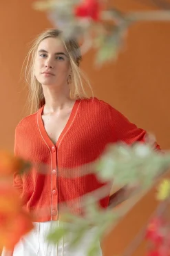 Saddle Sleeve V-Neck Cardigan Begonia