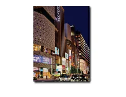 Tokyo Chic